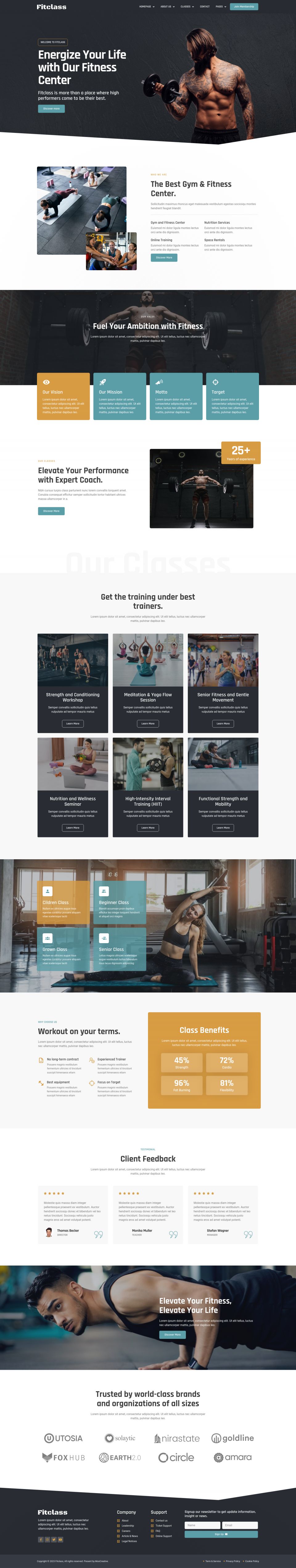 WordPress template ThemeForest FitClass