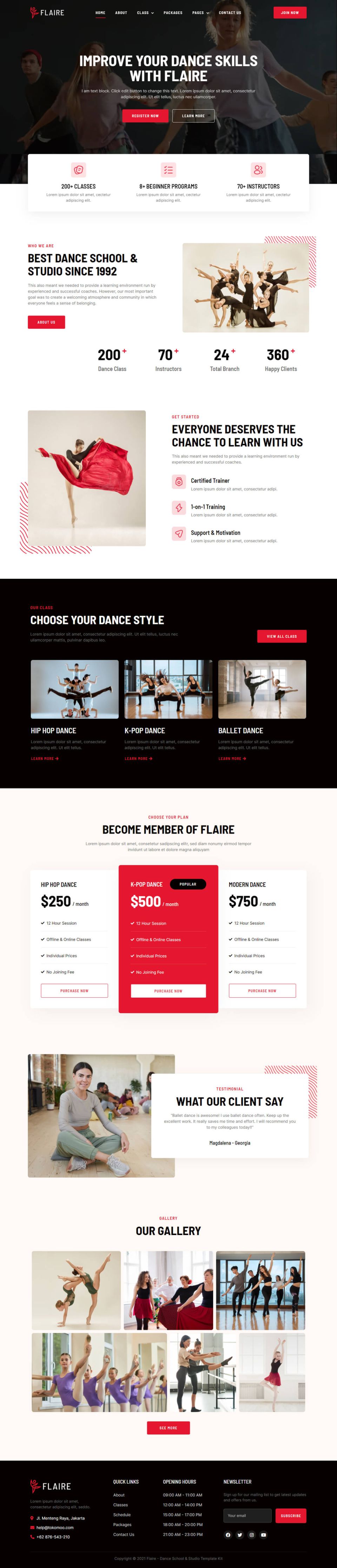 WordPress template ThemeForest Flaire