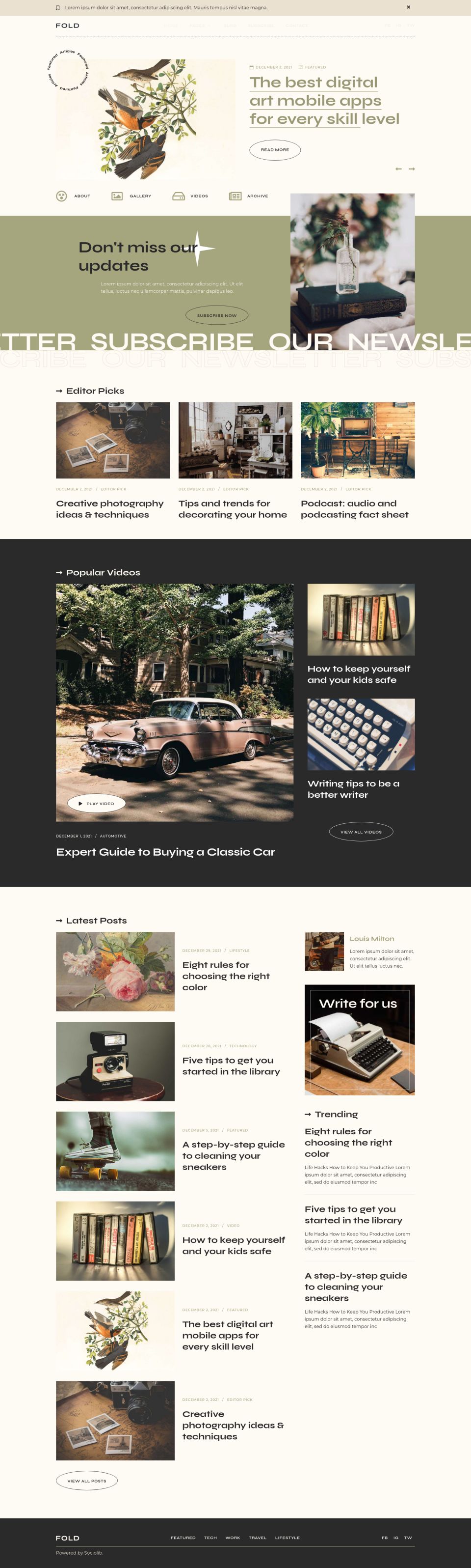 WordPress template ThemeForest Fold