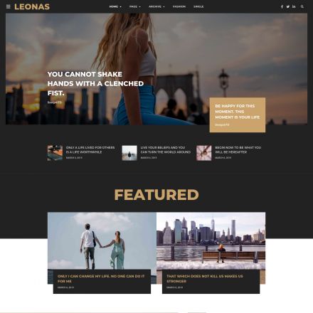 ThemeForest Leonas