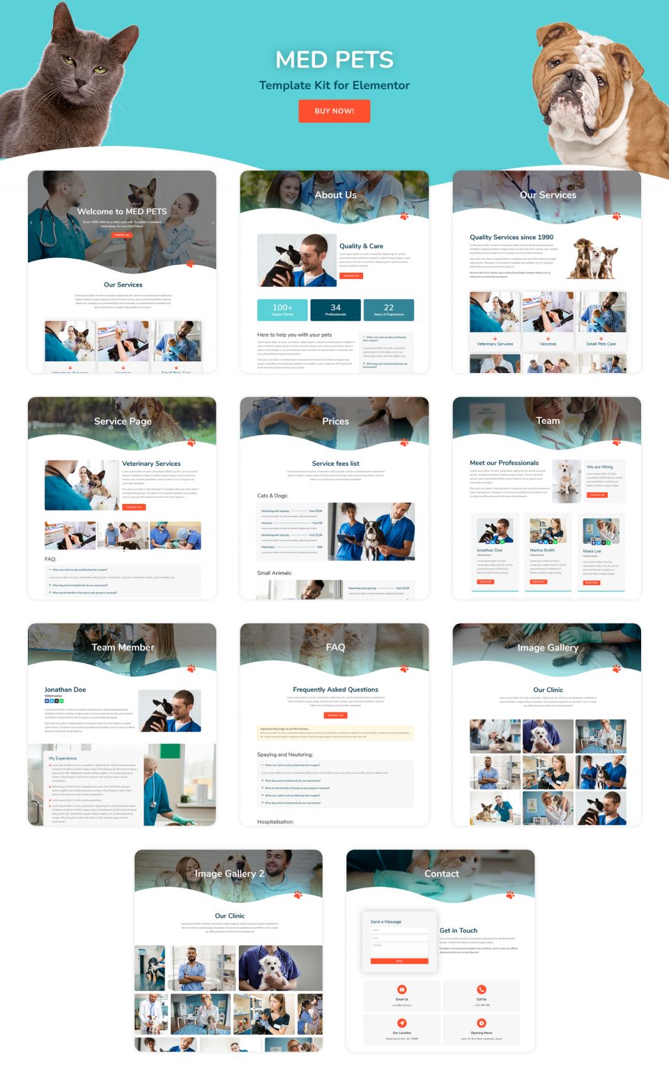 WordPress template ThemeForest Med Pets