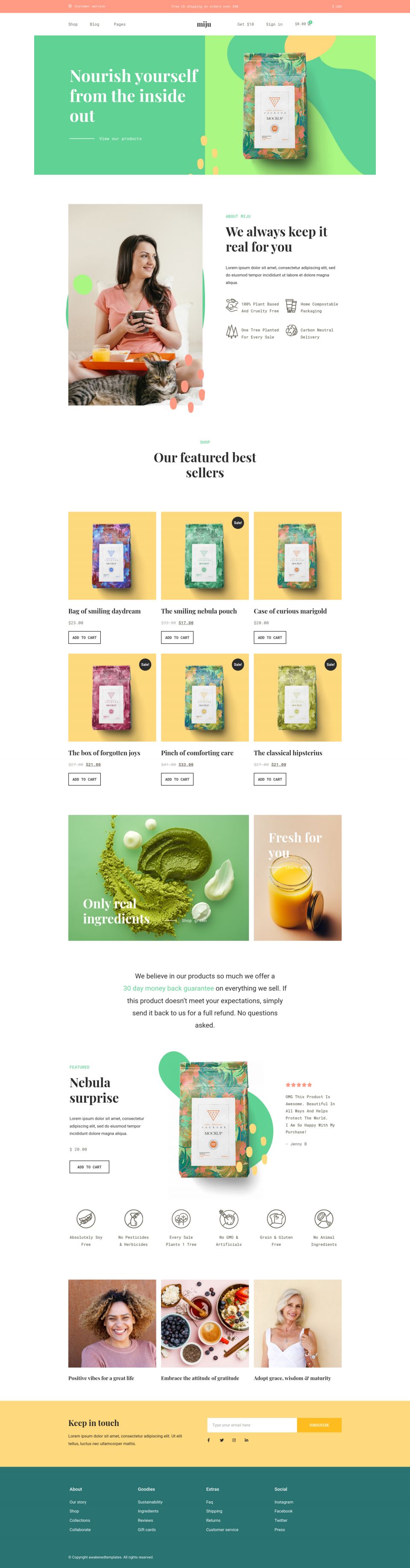 WordPress template ThemeForest Miju
