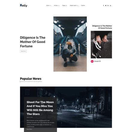 ThemeForest Nelly