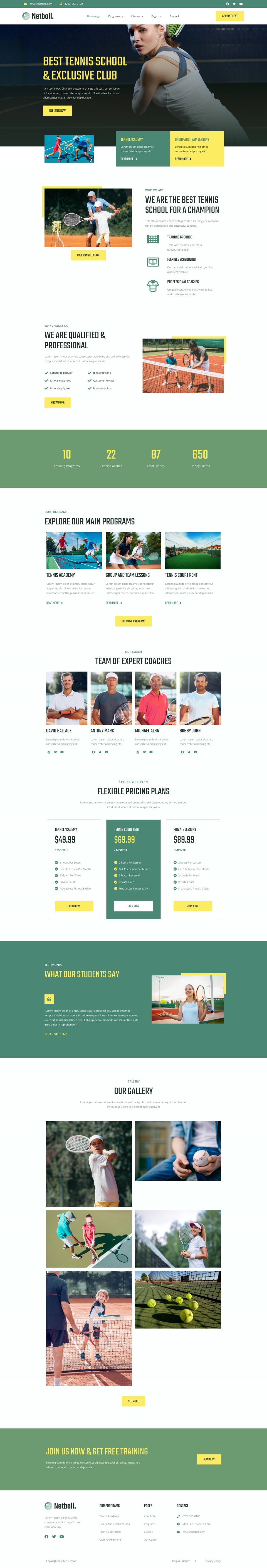 WordPress template ThemeForest Netball
