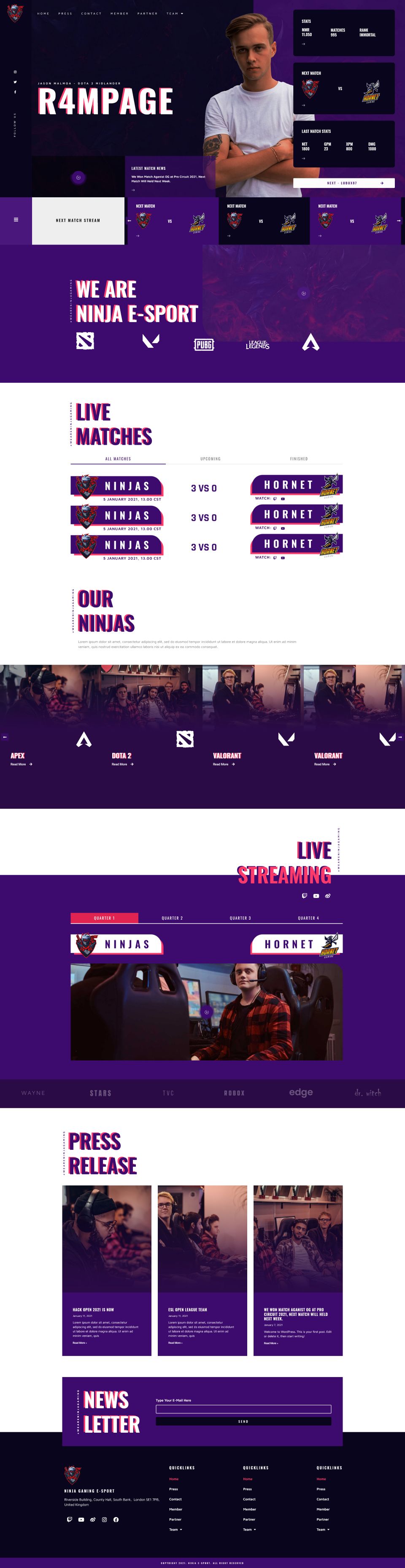 WordPress template ThemeForest Ninja
