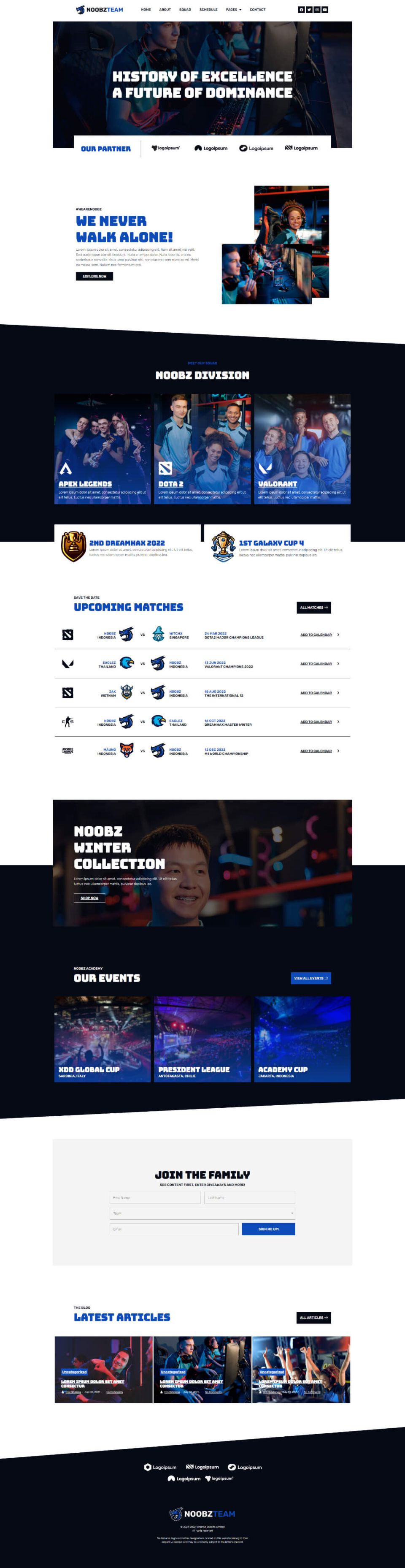 WordPress template ThemeForest Noobz