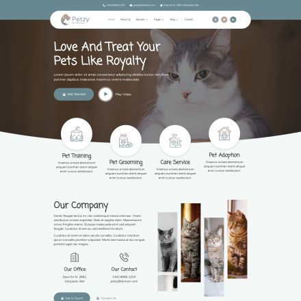 ThemeForest Petzy