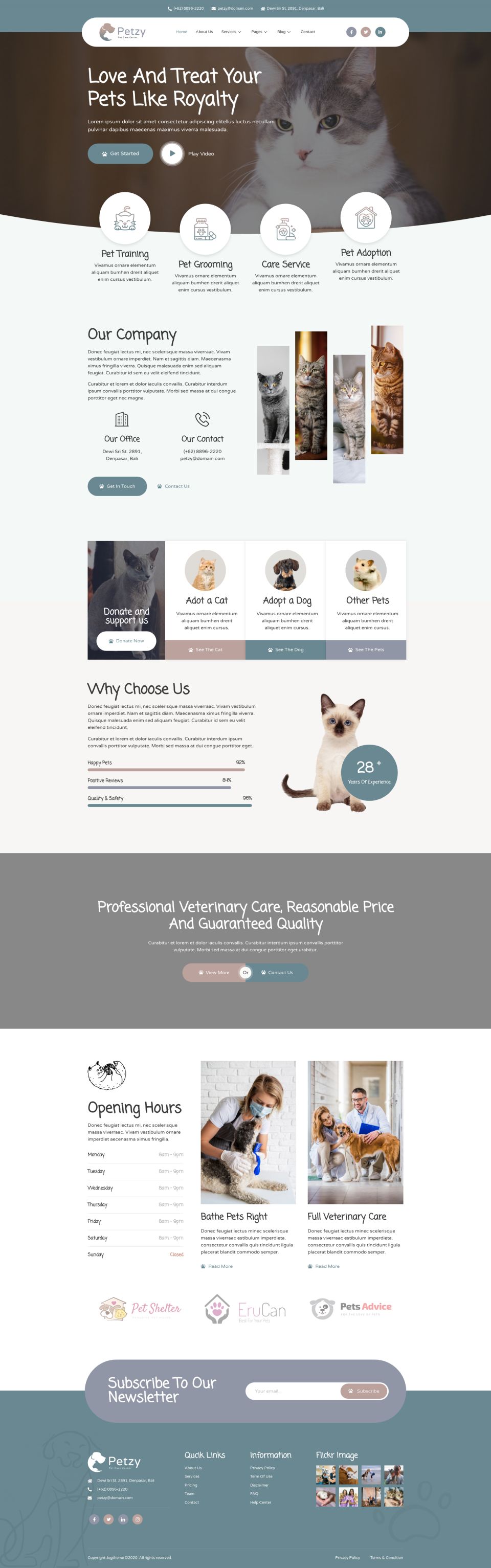 WordPress template ThemeForest Petzy