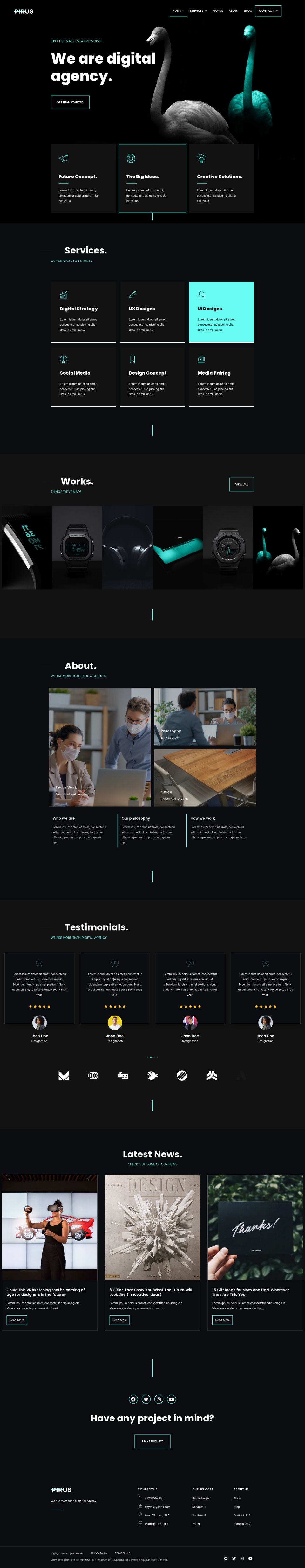 WordPress template ThemeForest PIRUS