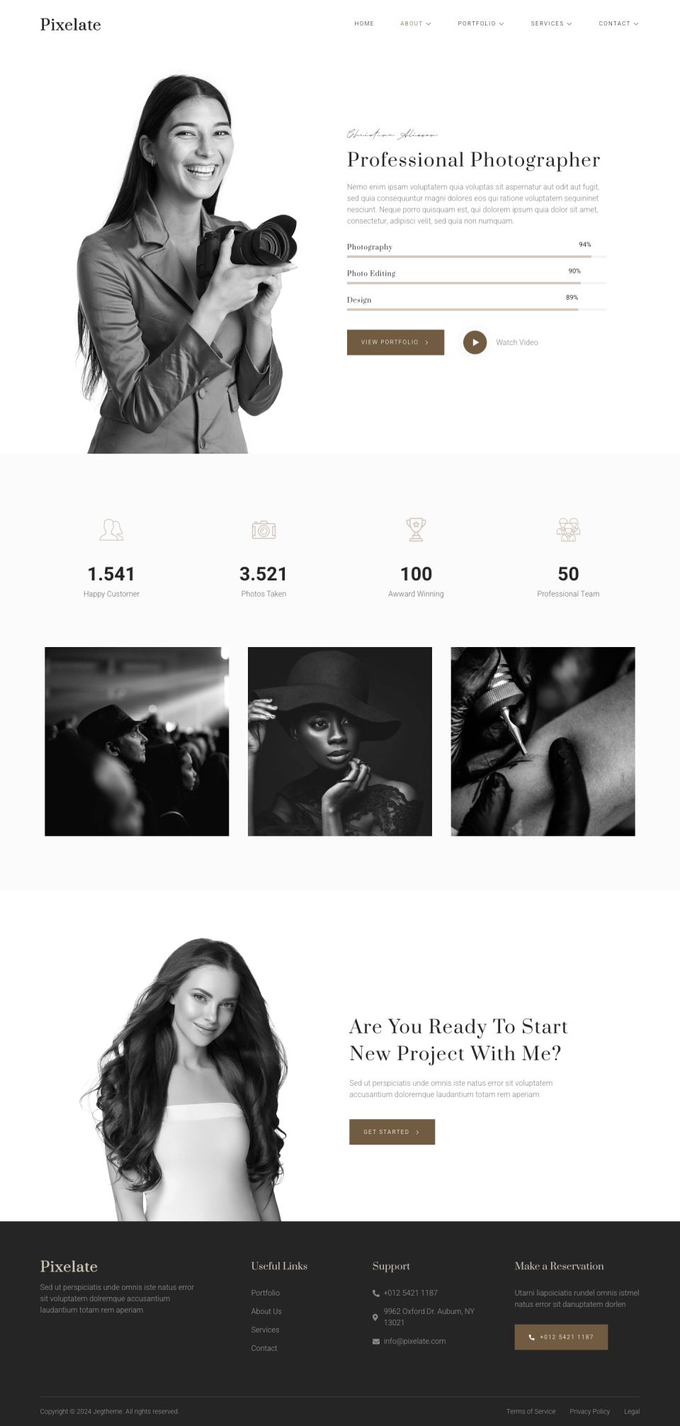 WordPress template ThemeForest Pixelate