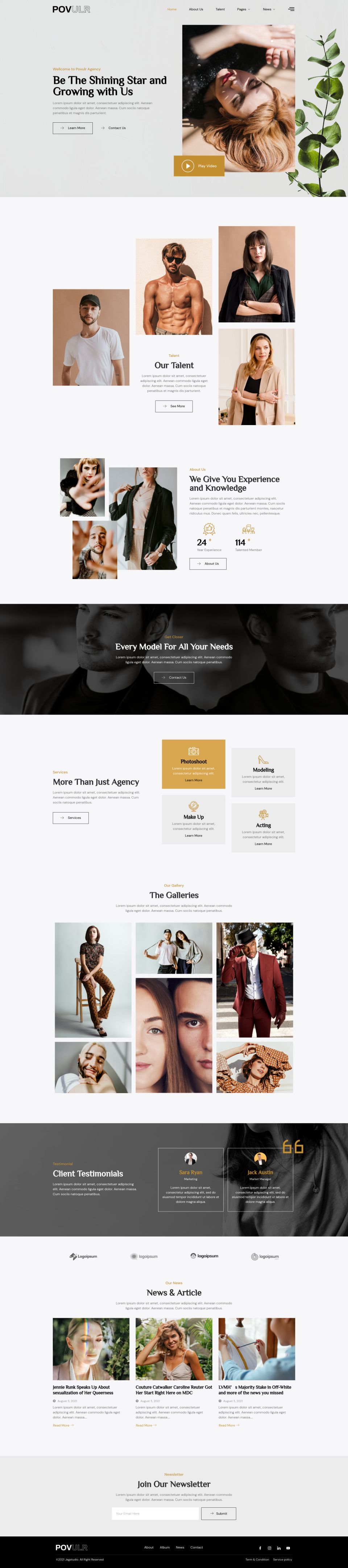 WordPress template ThemeForest POVULR