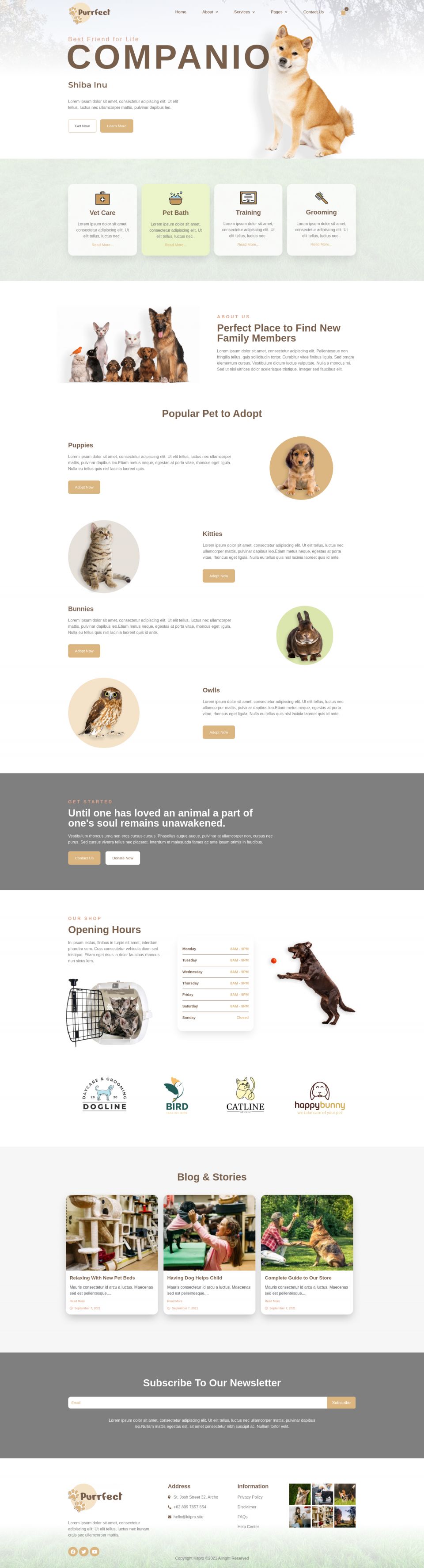 WordPress template ThemeForest Purrfect