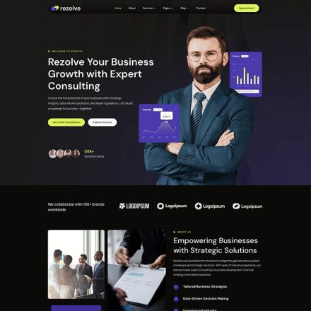 ThemeForest Rezolve