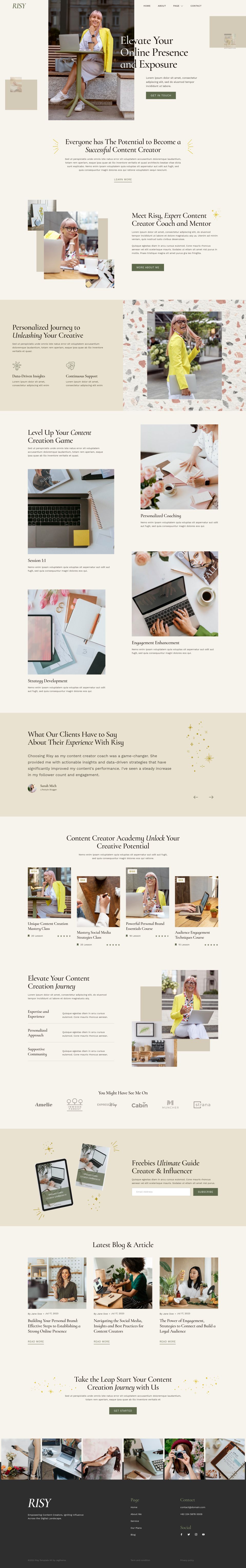 WordPress template ThemeForest Risy
