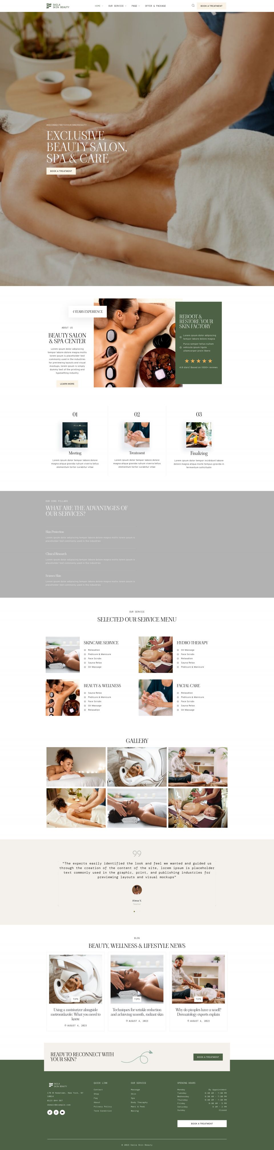 Template ThemeForest Saila WordPress template ThemeForest Saila