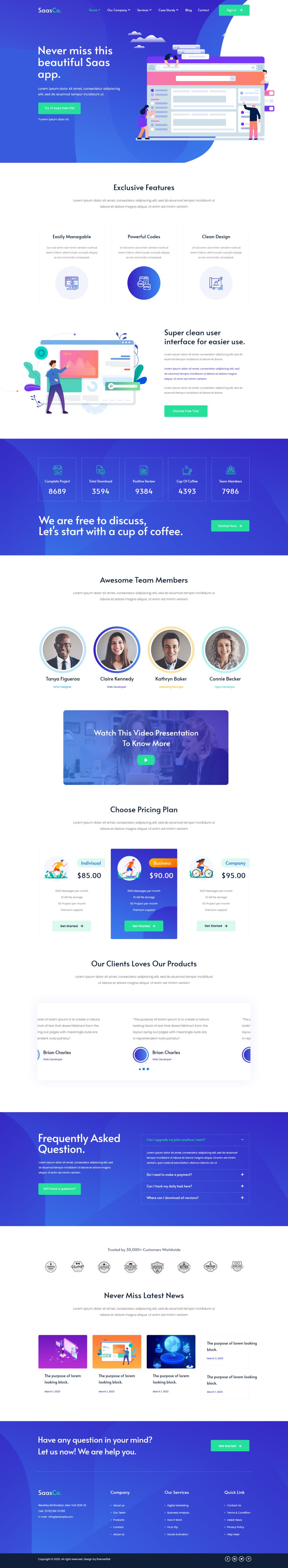 WordPress template ThemeForest SassCo