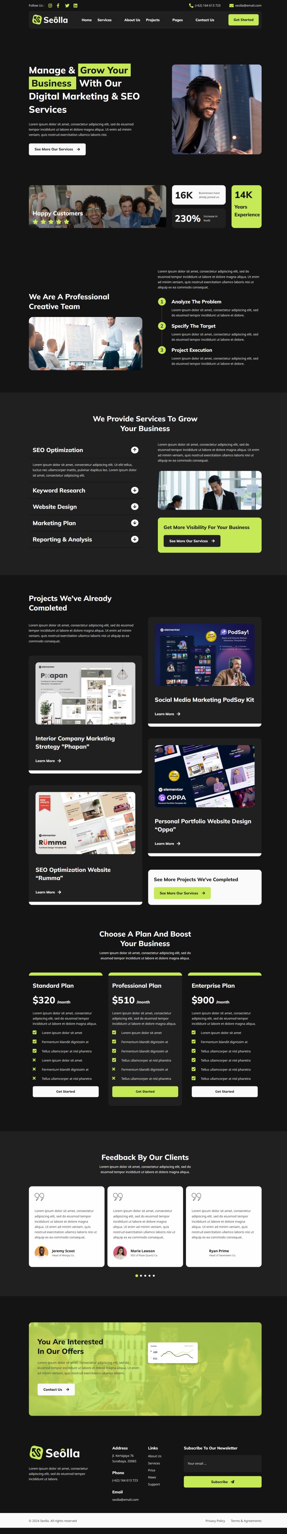 WordPress template ThemeForest Seolla
