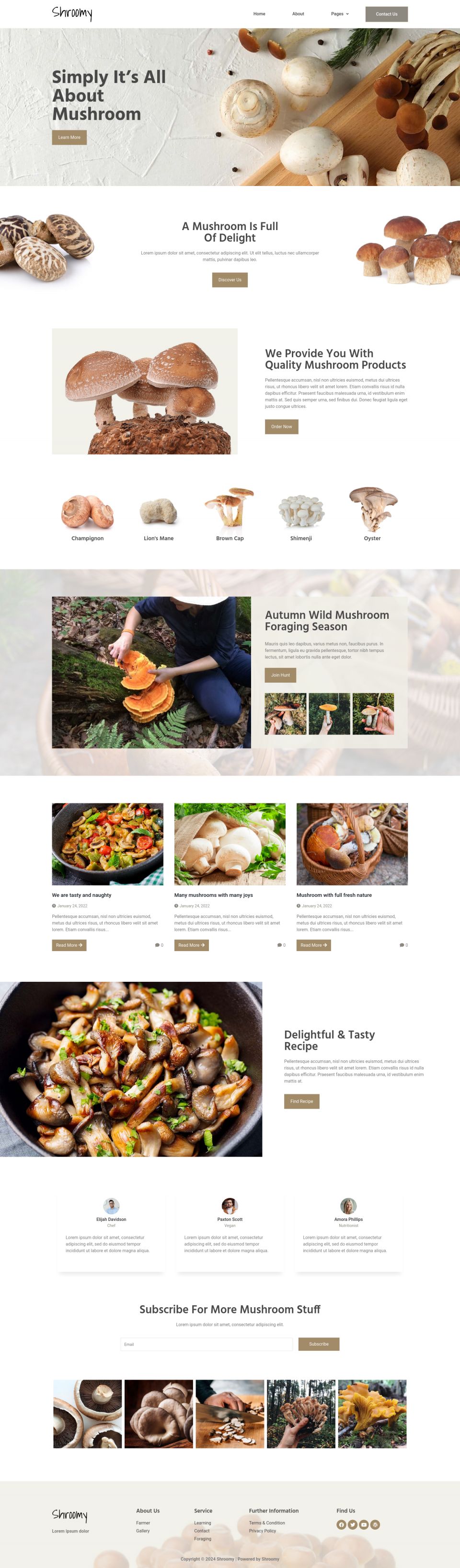 WordPress template ThemeForest Shroomy