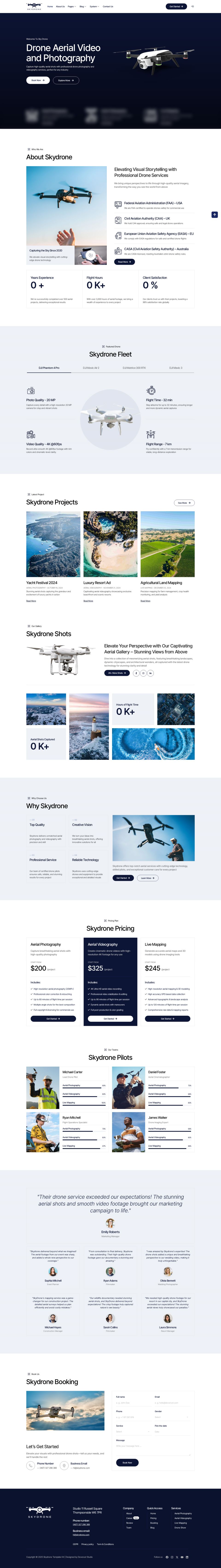 WordPress template ThemeForest Skydrone