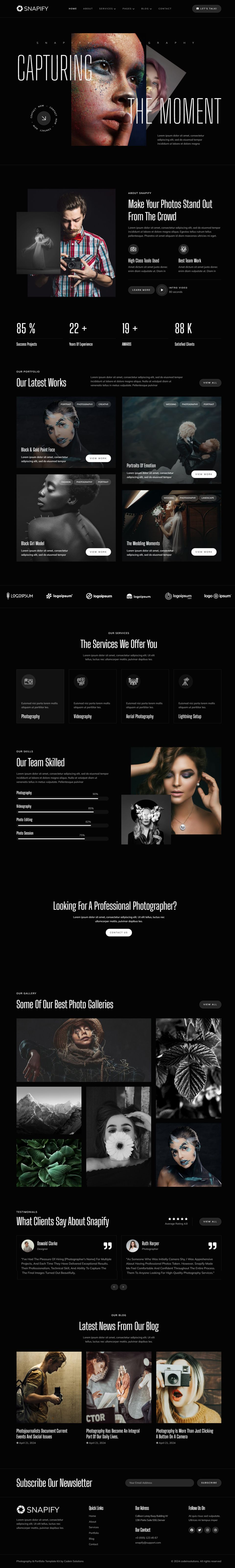 WordPress template ThemeForest Snapify