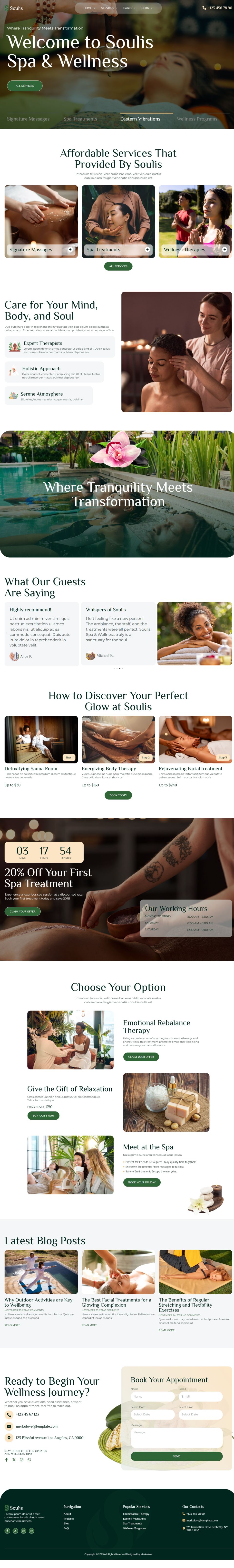 WordPress template ThemeForest Soulis