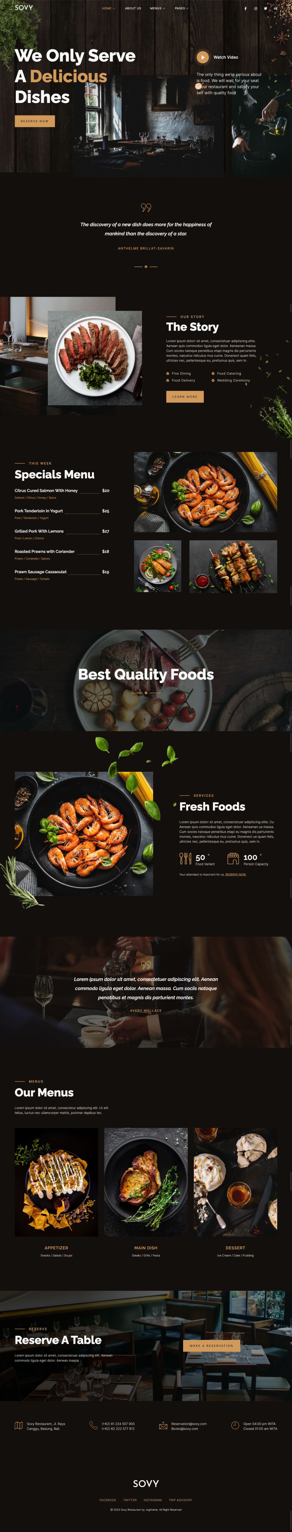 WordPress template ThemeForest Sovy