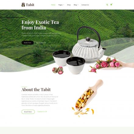 ThemeForest Tabit