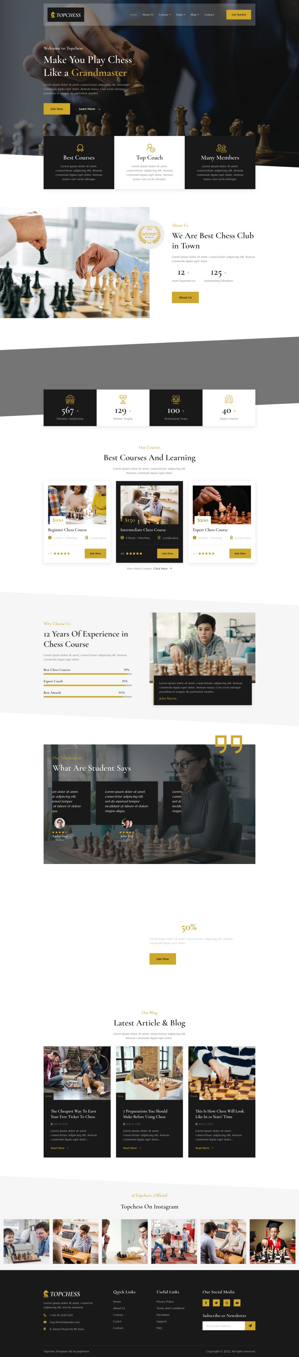 WordPress template ThemeForest Topchess