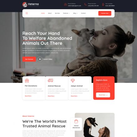 ThemeForest Veterna