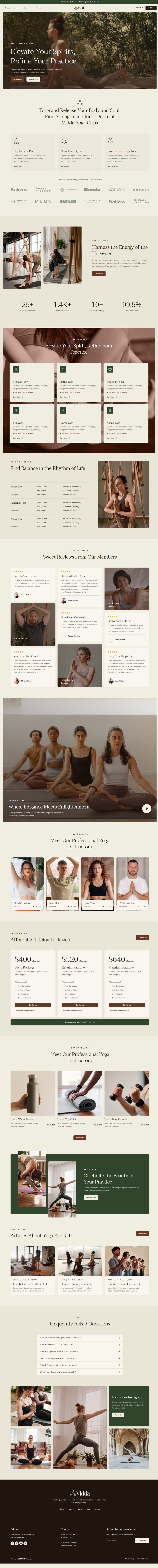 WordPress template ThemeForest Vidda