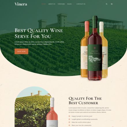 ThemeForest Vinera