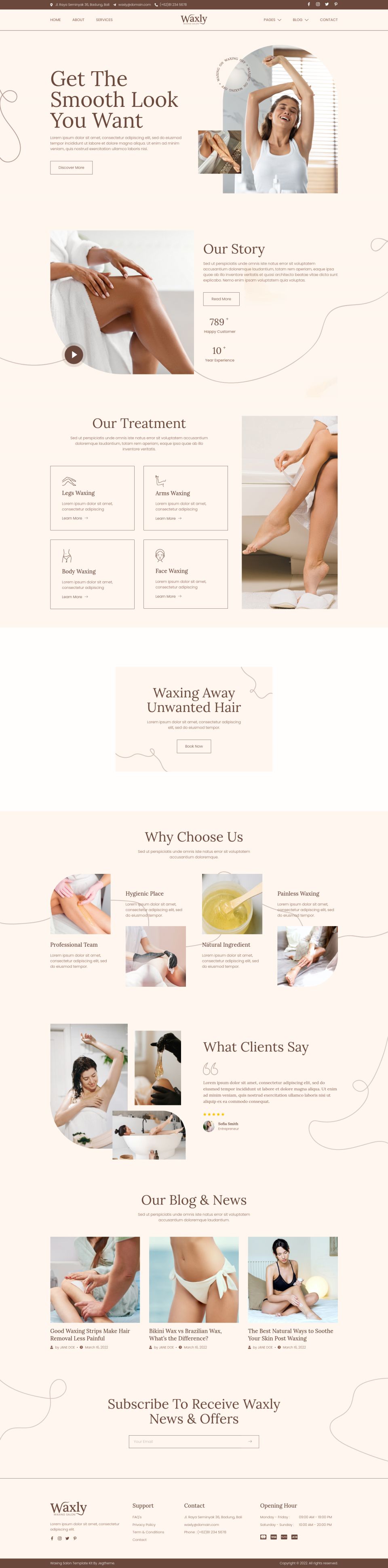 WordPress template ThemeForest Waxly