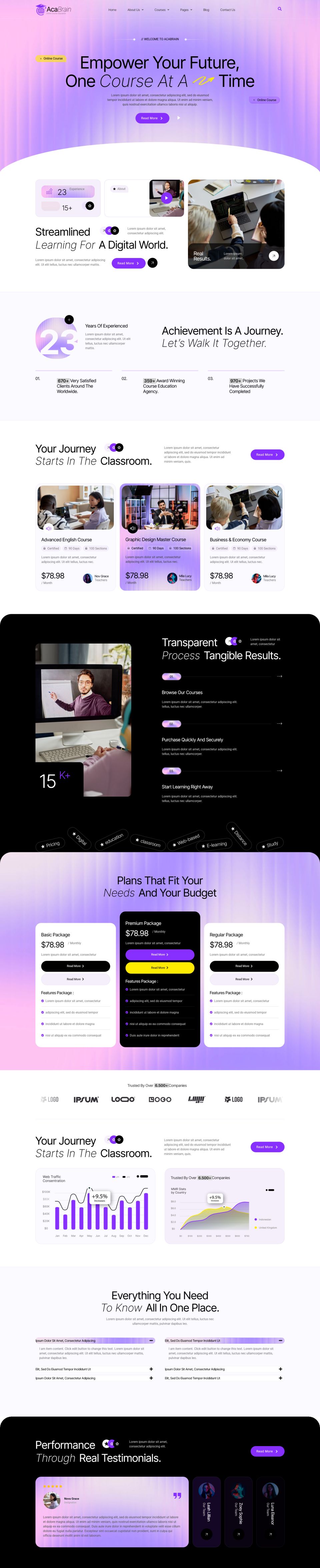WordPress template ThemeForest Acabrain