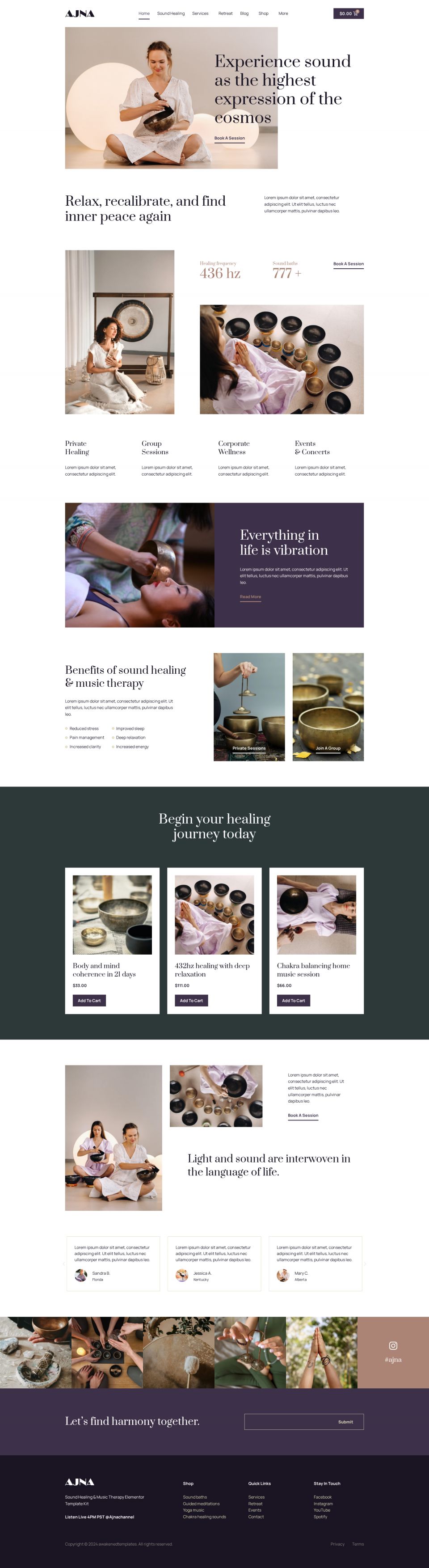 WordPress template ThemeForest Ajna