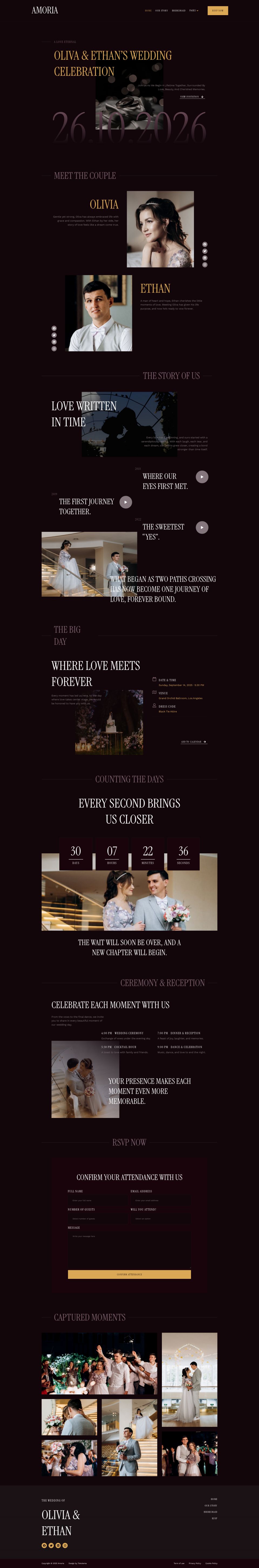WordPress template ThemeForest Amoria