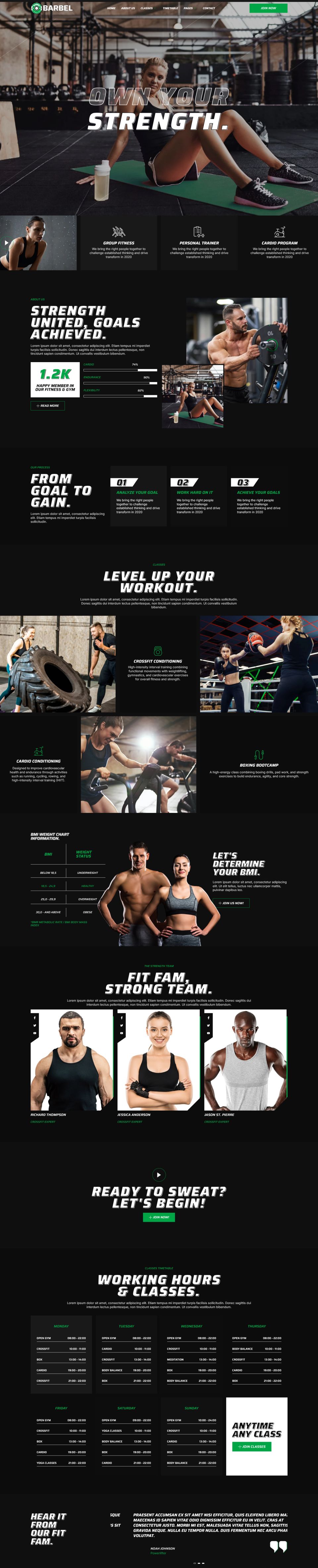 WordPress template ThemeForest Barbel