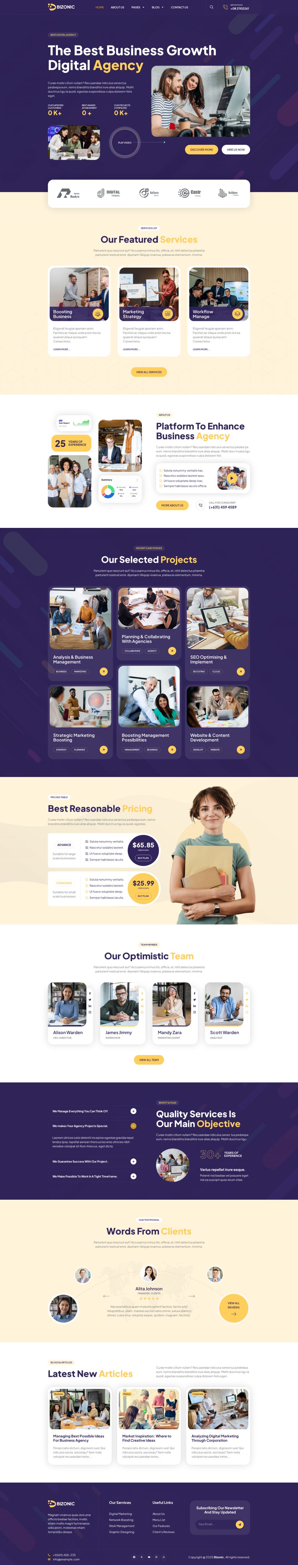 WordPress template ThemeForest Bizonic