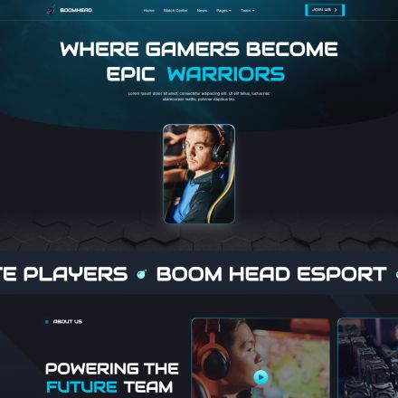 ThemeForest BoomHead