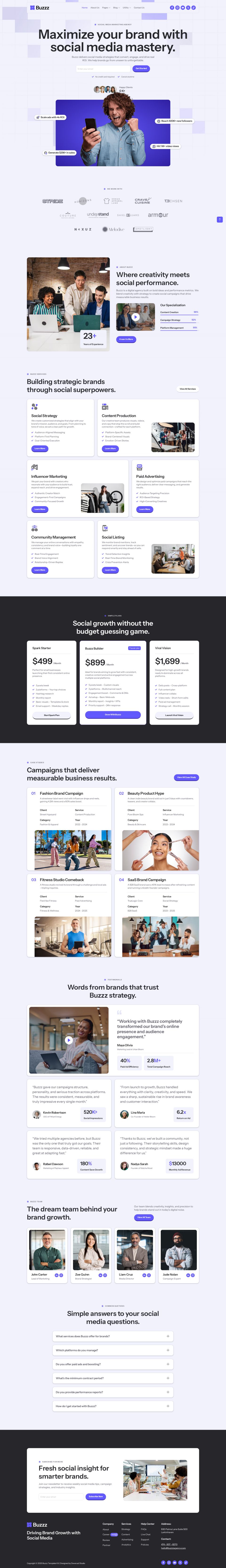WordPress template ThemeForest Buzzz