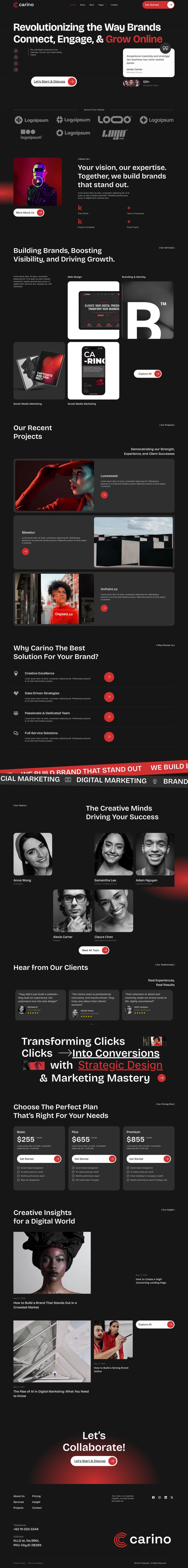 WordPress template ThemeForest Carino