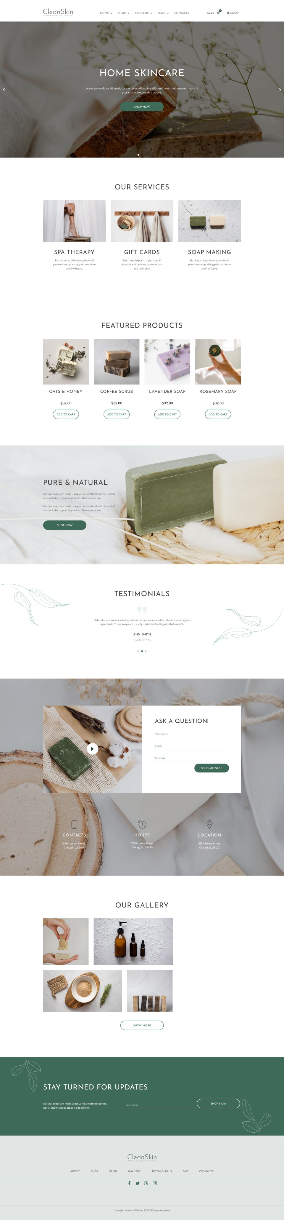 WordPress template ThemeForest CleanSkin