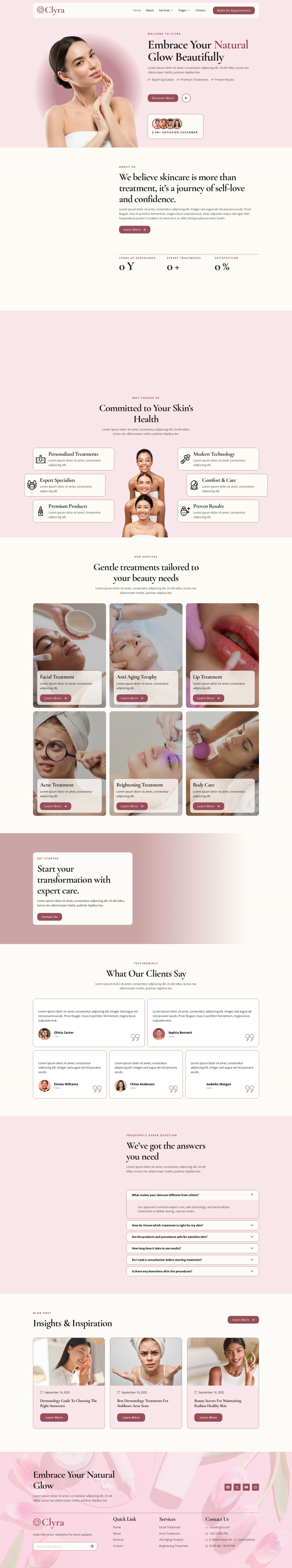 WordPress template ThemeForest Clyra