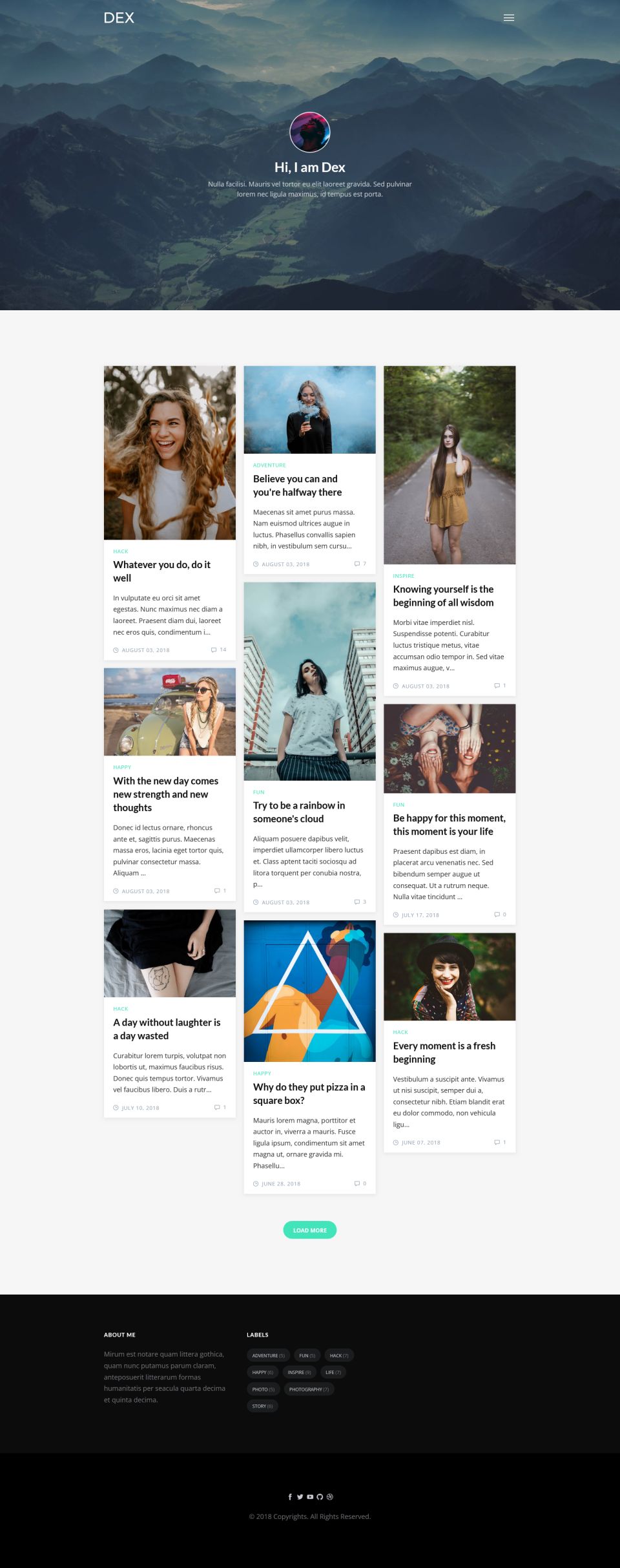 WordPress template ThemeForest Dex