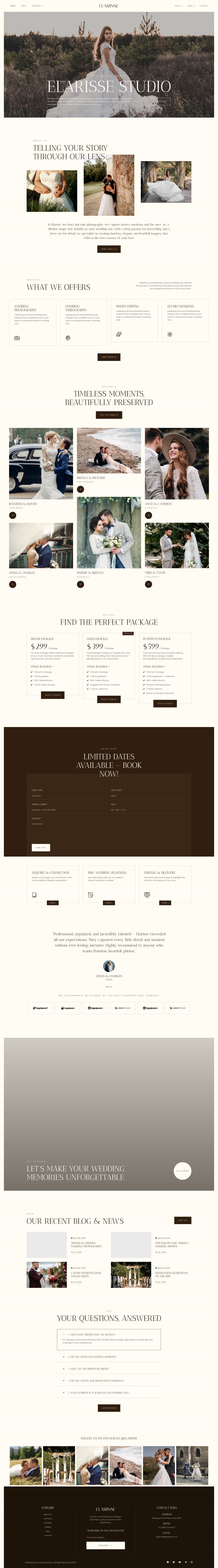 WordPress template ThemeForest Elarisse