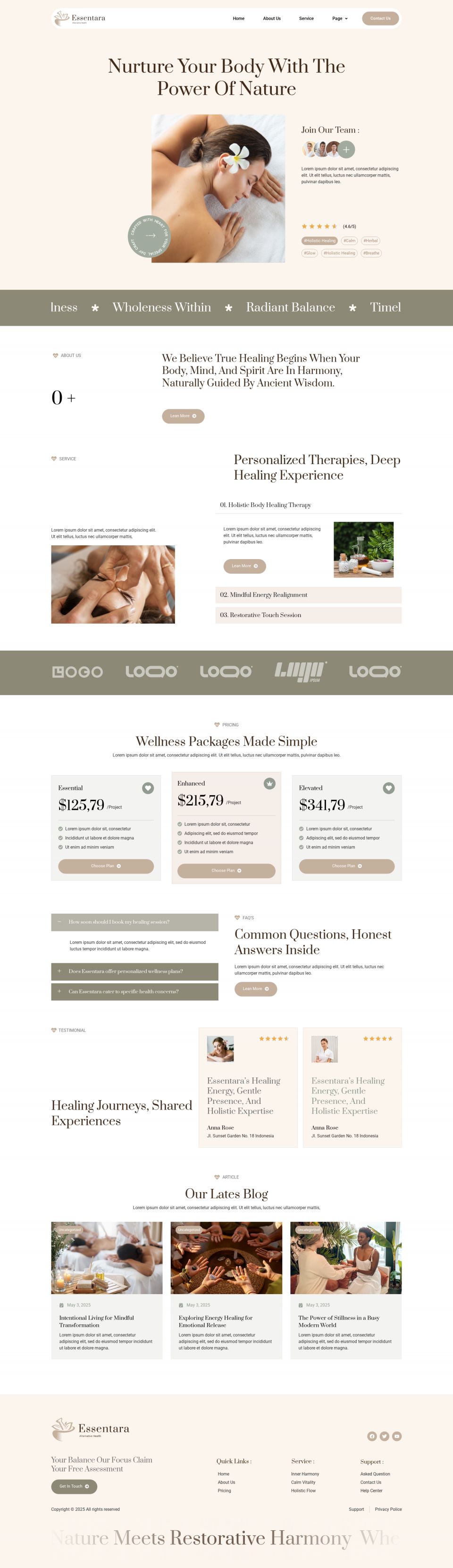 WordPress template ThemeForest Essentara