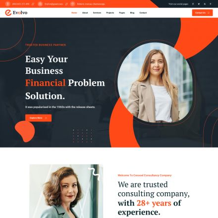 ThemeForest Evolvo