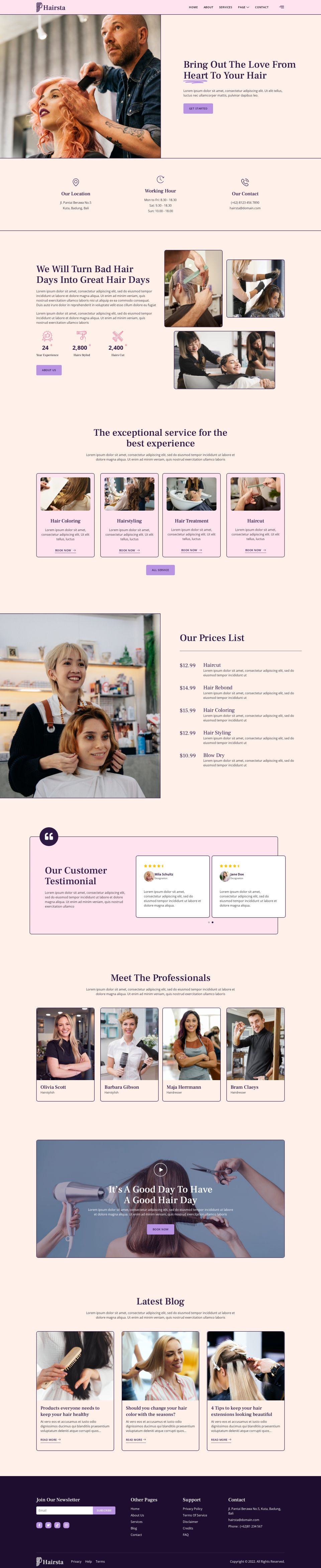 WordPress template ThemeForest Hairsta