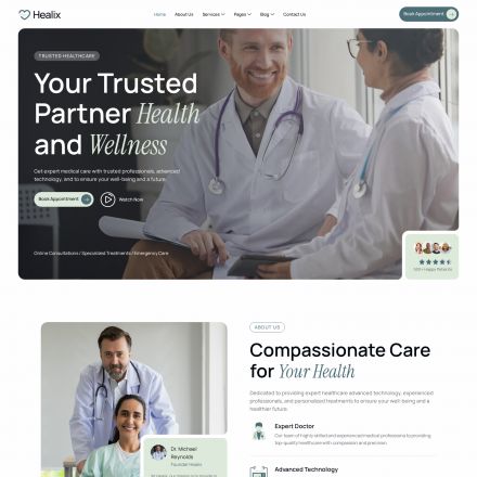 ThemeForest Healix