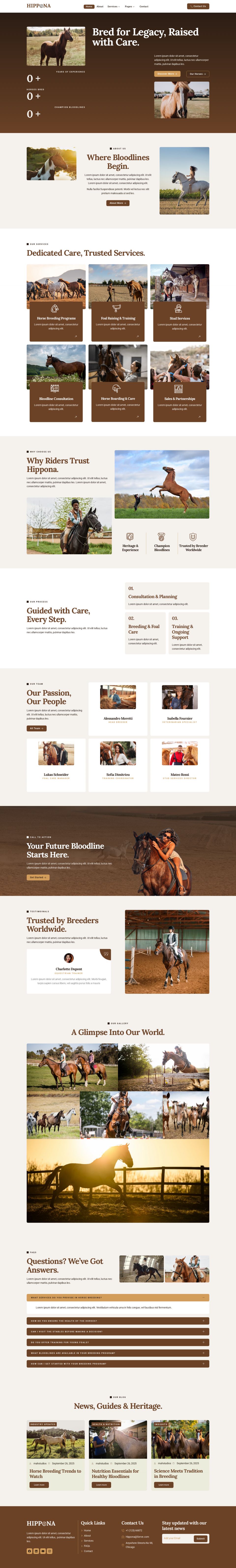 WordPress template ThemeForest Hippona
