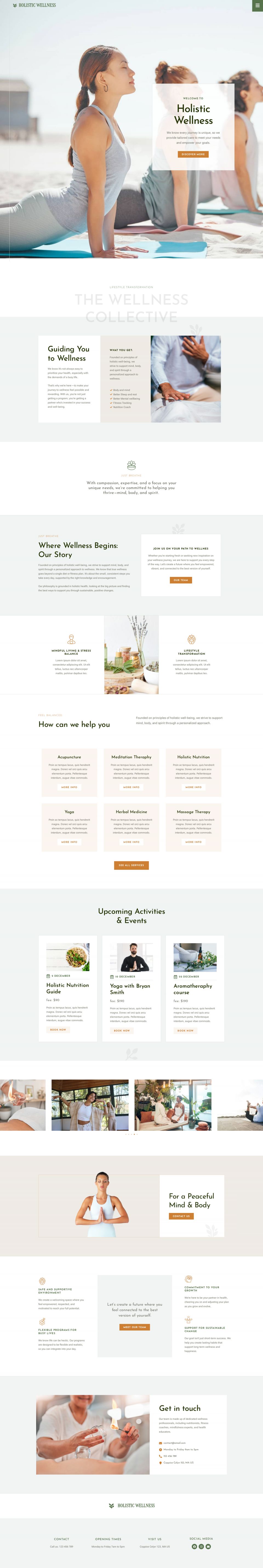 WordPress template ThemeForest Holistic Welness